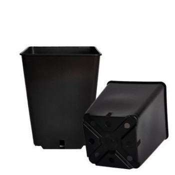 Doniczka kwadratowa produkcyjna wysoka 5,6L 19,5x19,5x23 cm Doniczka kwadratowa produkcyjna wysoka 5,6L 19,5x19,5x23 cm