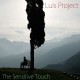 Luis Project -The Sensitive Touch