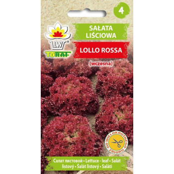 Sałata liściowa Lollo Rossa wczesna 1g TORAF