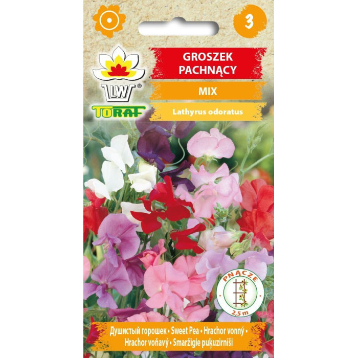 Groszek pachnący MIX 3g TORAF