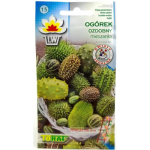 Ogórek ozdobny MIX 0,3g TORAF