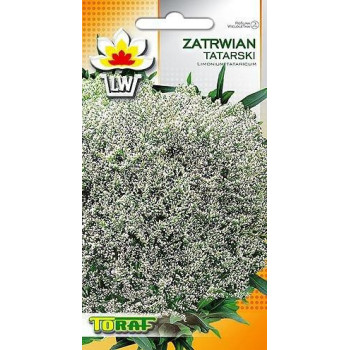 Zatrwian tatarski Limonium tataricum 0,1 g – TORAF