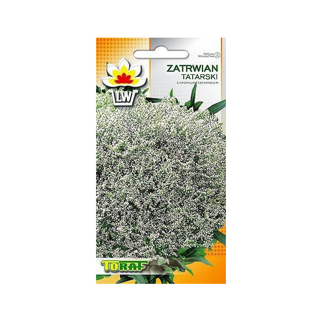 Zatrwian tatarski Limonium tataricum 0,1 g – TORAF