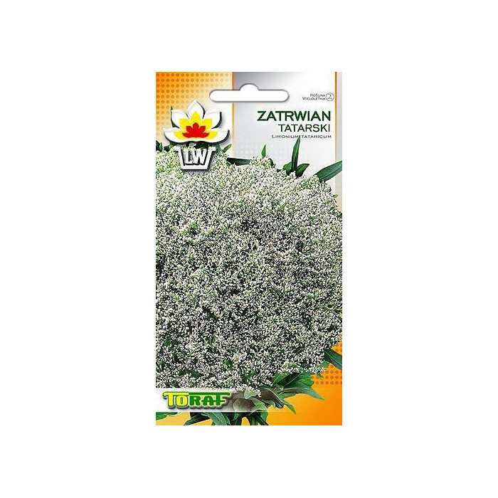 Zatrwian tatarski Limonium tataricum 0,1 g – TORAF