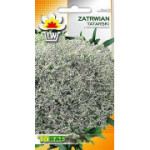 Zatrwian tatarski Limonium tataricum 0,1 g – TORAF