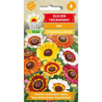 Złocień trójbarwny 0,4g TORAF