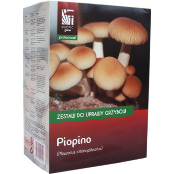 Polówka wiązkowa Zestaw do przygotowania substratu do uprawy PIOPINO 3l PLANTO