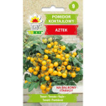 Pomidor koktajlowy AZTEK 0,3g TORAF