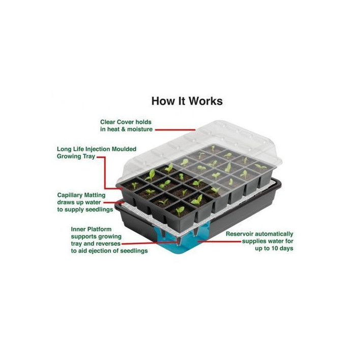 Samonawadniający propagator 37,5 x 23 x h16 cm Garland
