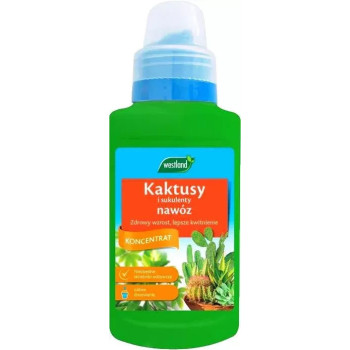 Westland nawóz do kaktusów i sukulentów 250ml Westland nawóz do kaktusów i sukulentów 250ml