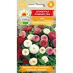 Stokrotka pomponowa mix 0,1g TORAF