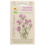 Goździk kartuzek 0,2g TORAF