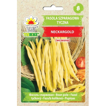 Fasola szparagowa tyczna wczesna NECKARGOLD 10g TORAF