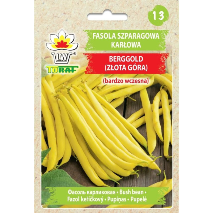 Fasola szparagowa karłowa BERGGOLD Złota Góra (bardzo wczesna) 50g TORAF