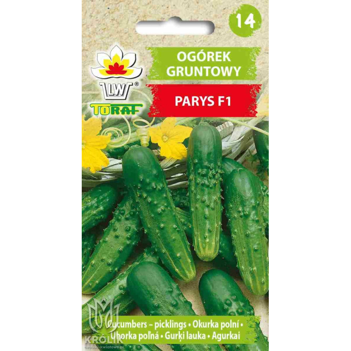 Ogórek gruntowy PARYS F1 4g TORAF