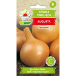 Cebula zimująca AUGUSTA (wczesna) 2g TORAF