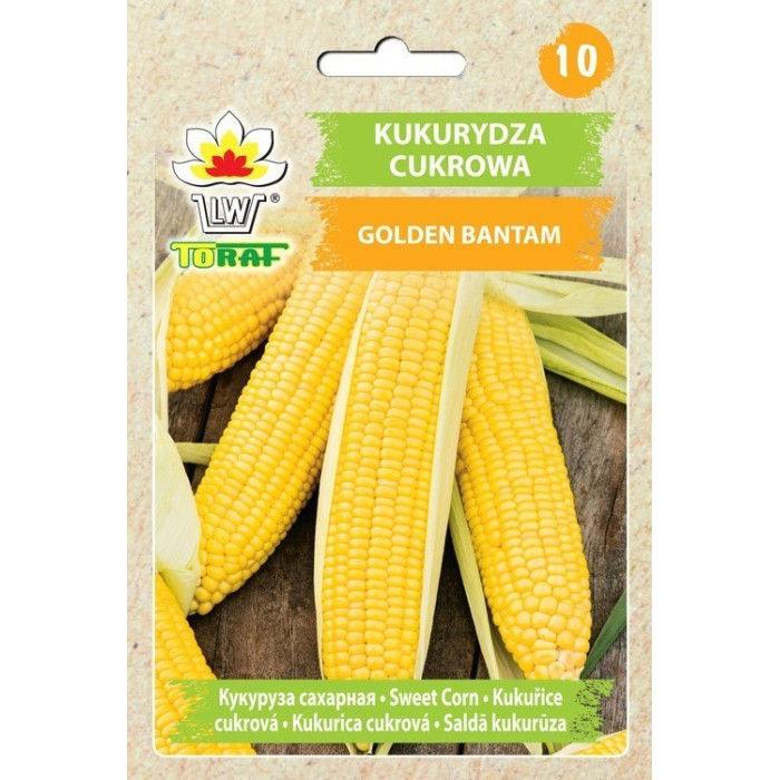 Kukurydza cukrowa Golden Bantam 20g TORAF