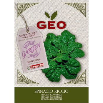 Szpinak Bloomsdale nasiona eko 10g Bavicchi