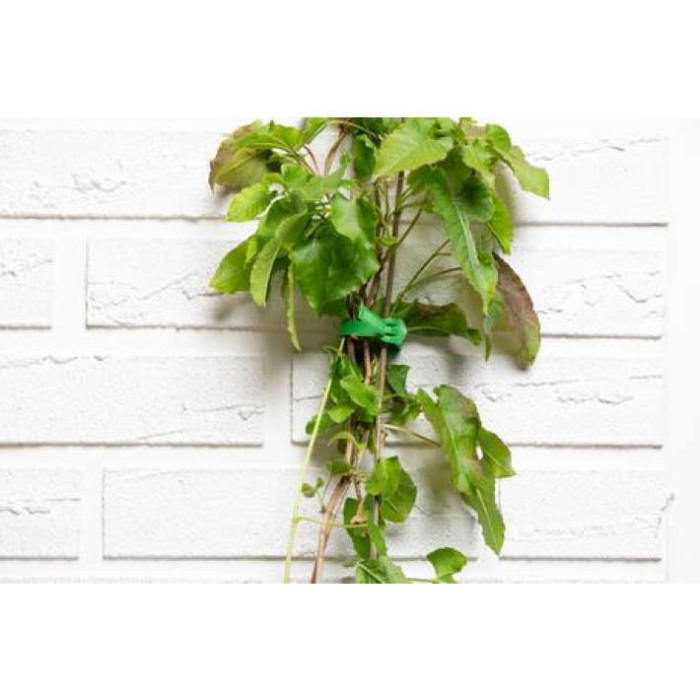 Black Decker Garden plugs - opaski zaciskowe do roślin 20 szt