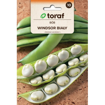 Bób WINDSOR biały 50g TORAF