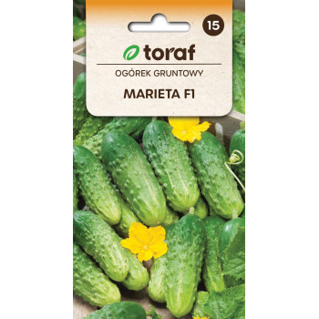 Ogórek gruntowy MARIETA F1 3g TORAF