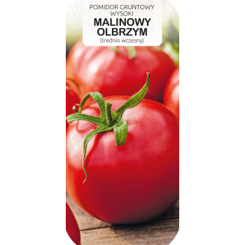 Pomidor gruntowy wysoki MALINOWY OLBRZYM 0,5g TORAF