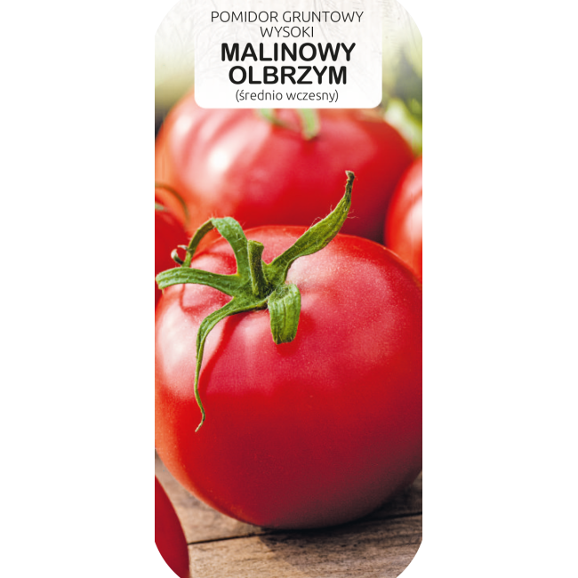 Pomidor gruntowy wysoki MALINOWY OLBRZYM 0,5g TORAF