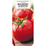 Pomidor gruntowy wysoki MALINOWY OLBRZYM 0,5g TORAF