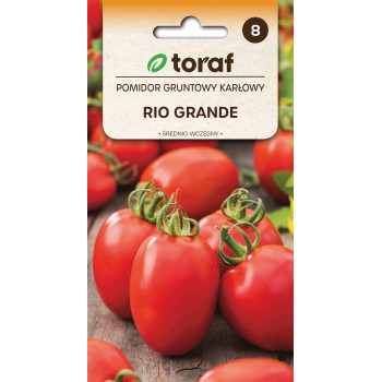 Pomidor gruntowy karłowy RIO GRANDE 0,5g TORAF