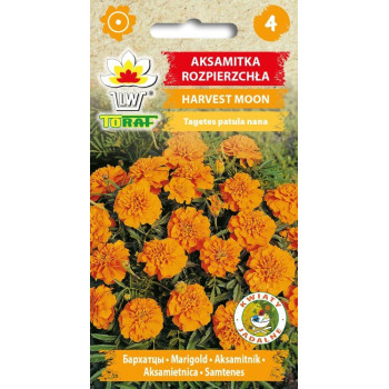 Aksamitka rozpierzchła HARVEST MOON pomarańczowa 1g TORAF