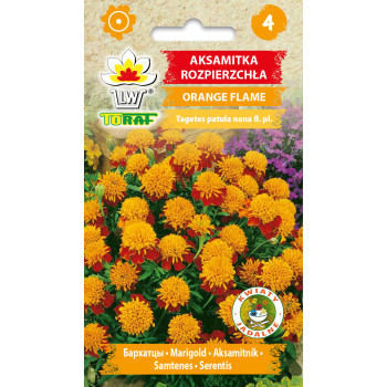 Aksamitka rozpierzchła ORANGE FLAME 1g TORAF