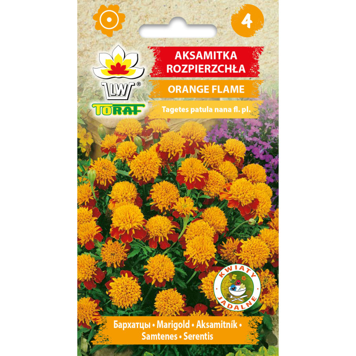 Aksamitka rozpierzchła ORANGE FLAME 1g TORAF