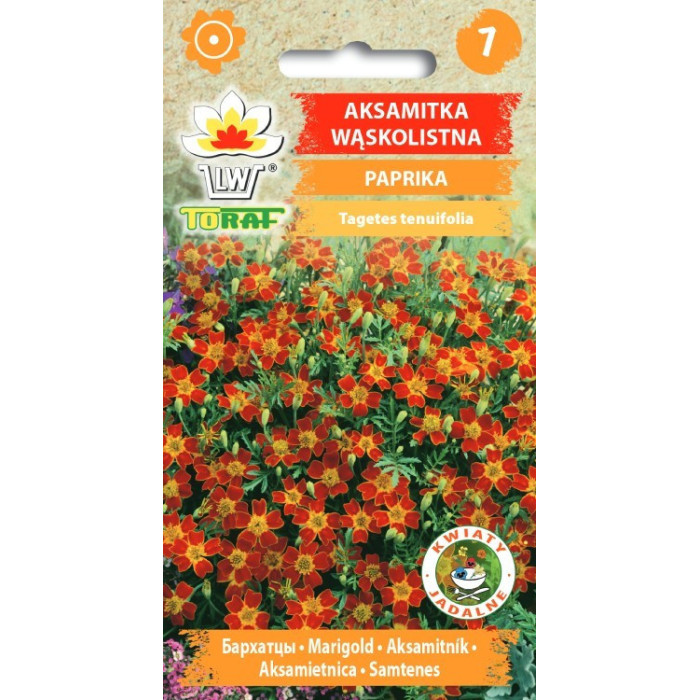 Aksamitka wąskolistna PAPRIKA 0,5g TORAF