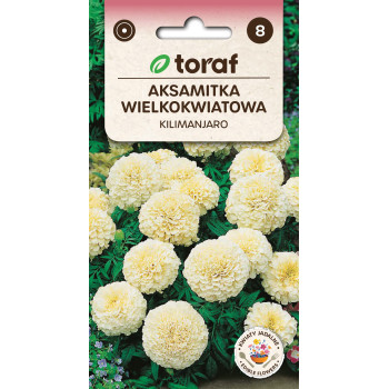 Aksamitka wielkokwiatowa KILIMANJARO 0,3g TORAF