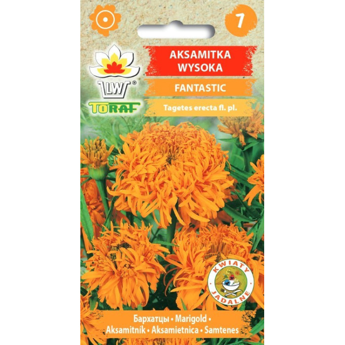 Aksamitka wysoka FANTASTIC pomarańczowa 0,5g TORAF