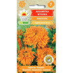 Aksamitka wysoka FANTASTIC pomarańczowa 0,5g TORAF