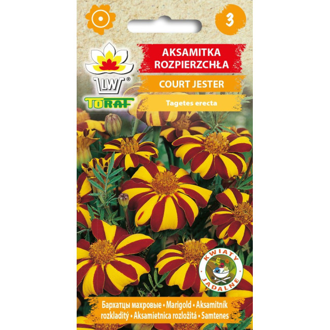 Aksamitka rozpierzchła COURT JESTER 0,5g TORAF