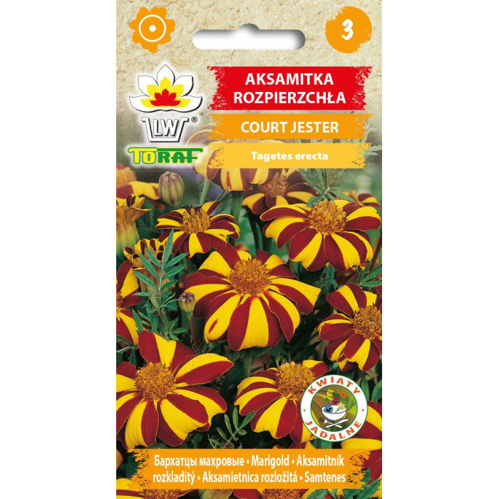 Aksamitka rozpierzchła COURT JESTER 0,5g TORAF
