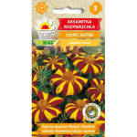 Aksamitka rozpierzchła COURT JESTER 0,5g TORAF