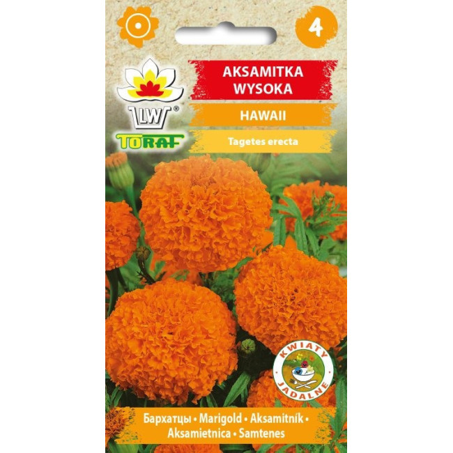 Aksamitka wysoka HAWAII pomarańczowa 1g TORAF