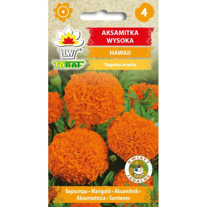 Aksamitka wysoka HAWAII pomarańczowa 1g TORAF