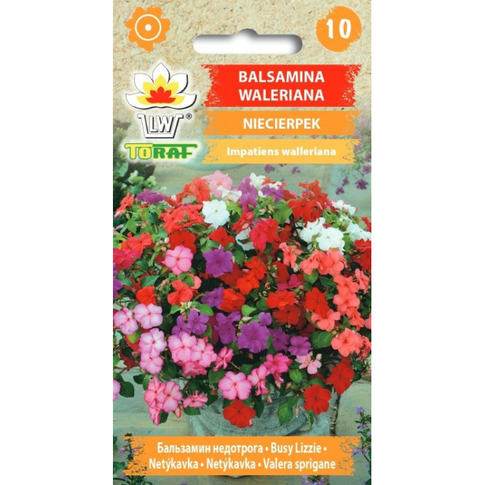 Balsamina waleriana NIECIERPEK 0,1g TORAF