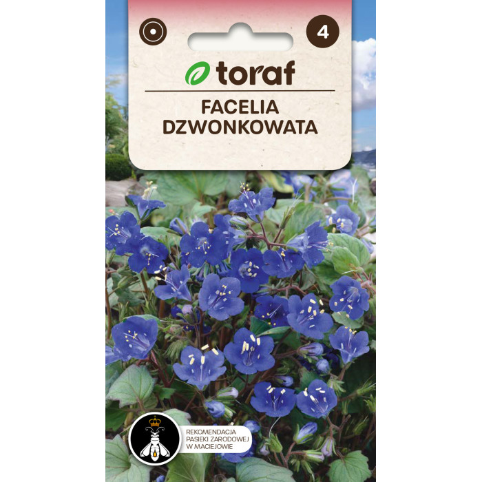 Facelia dzwonkowata 0,5g TORAF
