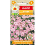 Gipsówka wytworna różowa 1g TORAF