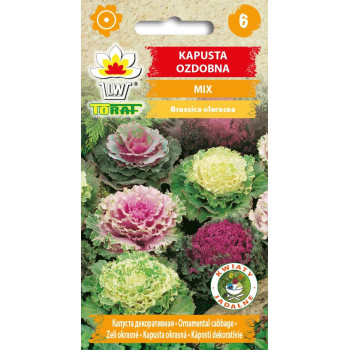 Kapusta ozdobna MIX 0,5g TORAF