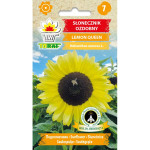 Słonecznik ozdobny LEMON QUEEN 2g TORAF