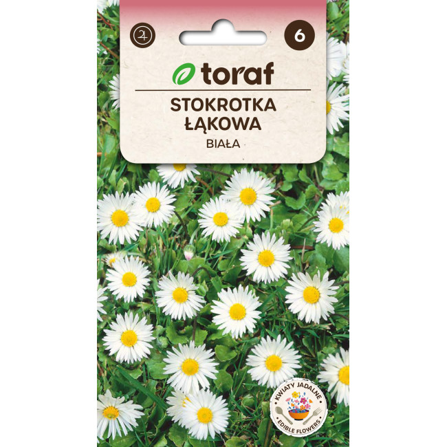 Stokrotka łąkowa biała 0,1g TORAF