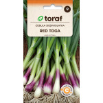 Cebula Siedmiolatka Red Toga 1 g | Allium fistulosum | Toraf