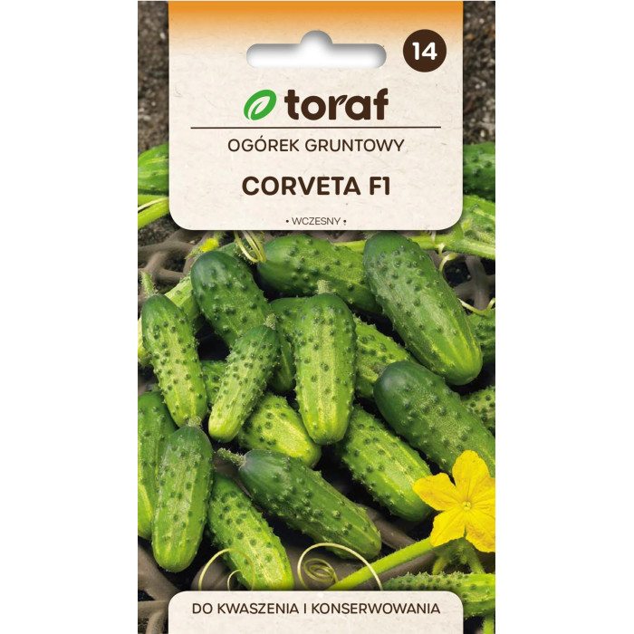 Ogórek Gruntowy Corveta F1 3 g | Wczesny | Toraf