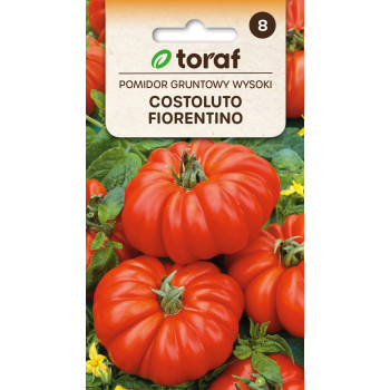 Pomidor Costoluto Fiorentino 0,3 g | Wysoki Gruntowy | Toraf
